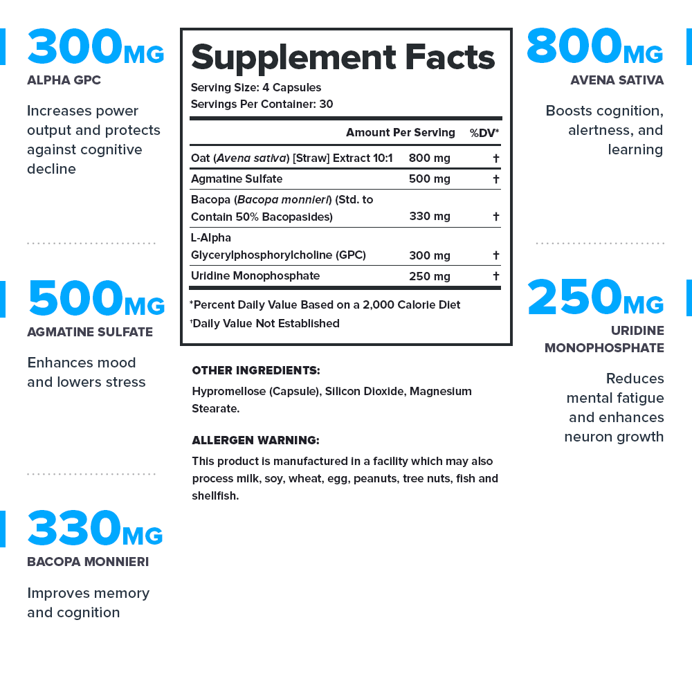 Ascend Nootropic Supplement - 30 Servings