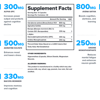 Ascend Nootropic Supplement - 30 Servings