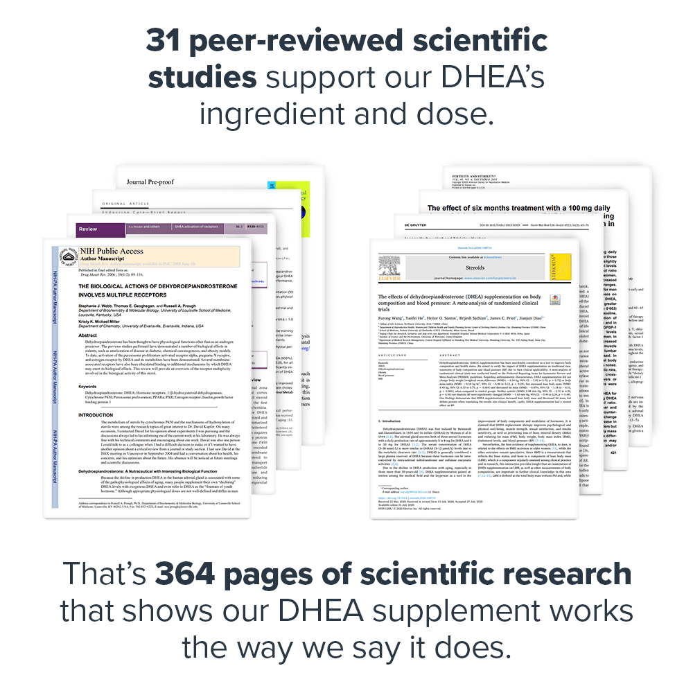 DHEA Dehydroepiandrosterone Supplement
