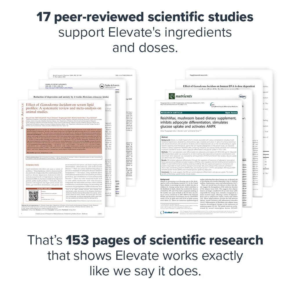 Elevate Mushroom Supplement