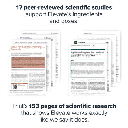 Elevate Mushroom Supplement