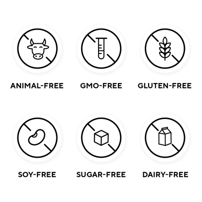 Plant + Vegan Plant-Based Protein Powder